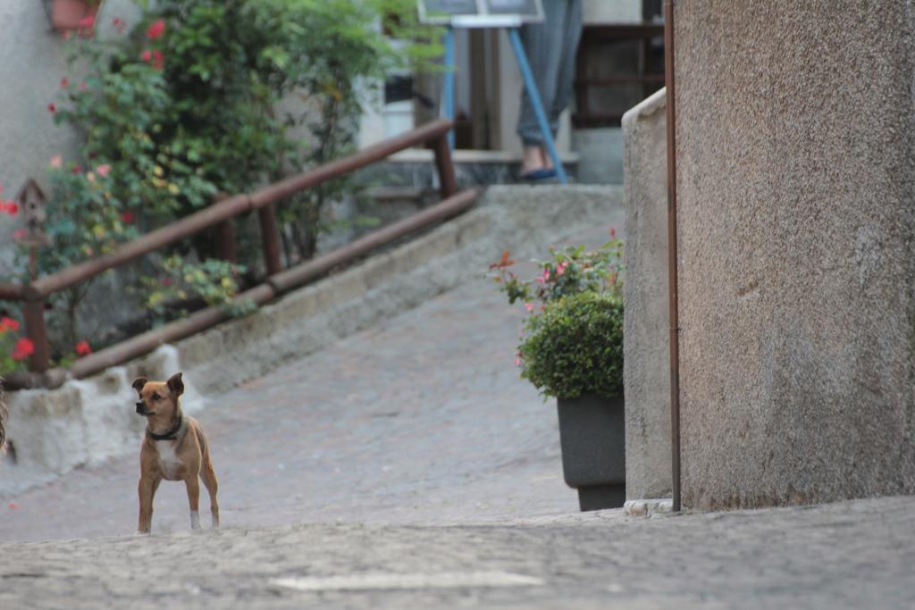 Locanda Genzianella Gargnano Luaran gambar